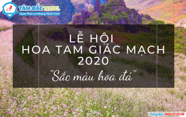 Lễ hội hoa Tam Giác Mạch 2020